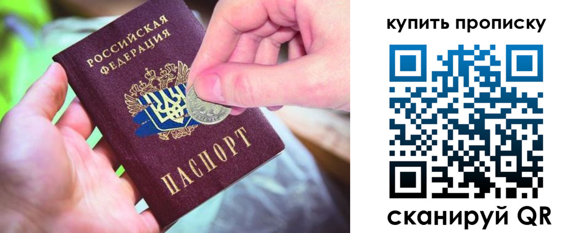 где прописаться в Стародубе